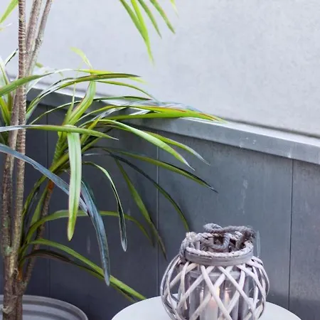 Appartement Beautiful Loft Downtown Porto